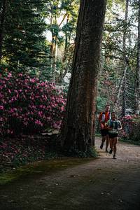 BIB: 
                            <button type="button" onclick="openModal(22790130)" class="btn btn-primary btn-sm float-right btn-popup" data-toggle="modal" data-target=".modal-high-quality">
                        <i class="fas fa-shopping-cart"></i> Add to Cart
                    </button>
                                            <button type="button" onclick="isThisMe(22790130, true)" class="btn btn-success btn-sm float-right btn-popup btn-isme hidden" data-toggle="tooltip" data-placement="bottom" title="นี่คือรูปของคุณใช่ไหม คลิกที่นี่เพื่อเอาเข้าอัลบั้ม">
                        <i class="fas fa-plus"></i> Add to album
                    </button>
                    <button type="button" onclick="isThisMe(22790130, false)" class="btn btn-warning btn-sm float-right btn-popup btn-isnotme hidden">
                        <i class="fas fa-ban"></i> Remove from album
                    </button>